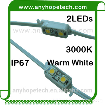 Warm White single color 2LEDs led module ip67